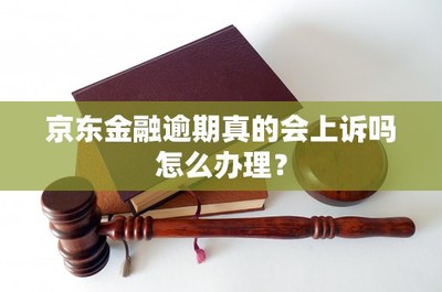 京東金融逾期應對指南 是否會被起訴與正確處理流程